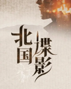 北国谍影