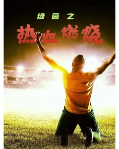 绿茵之热血燃烧